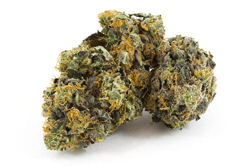 Black Domina Indica