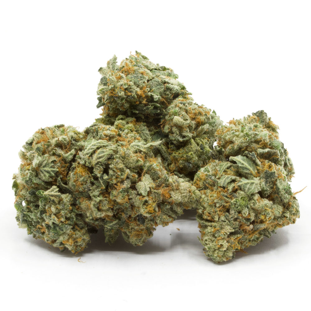 Crazy Glue Strain | Buy Crazy Glue Strain | Order Crazy Glue Strain