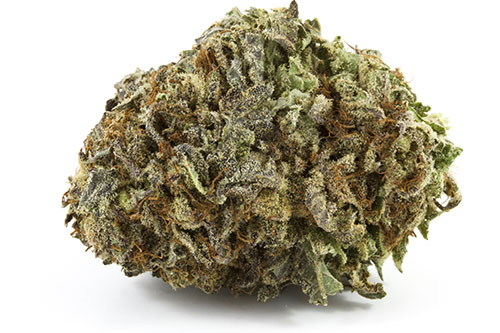 Darth Vader – Indica