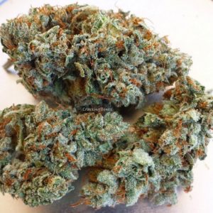 Sativa Strains